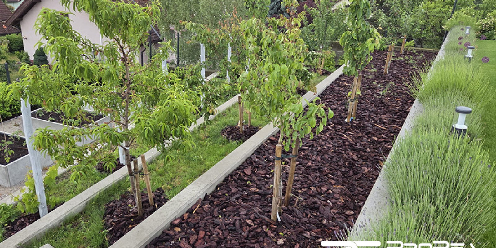 Projekty / Rodinný dom Bratislava - foto Projekty / Rodinný dom Bratislava - foto